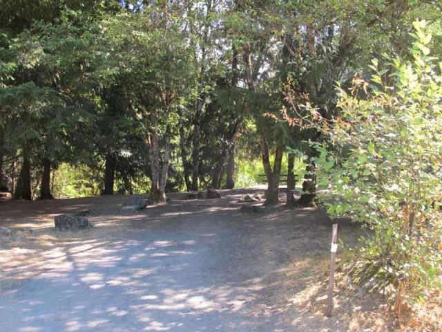 Lake Harriet Site #6