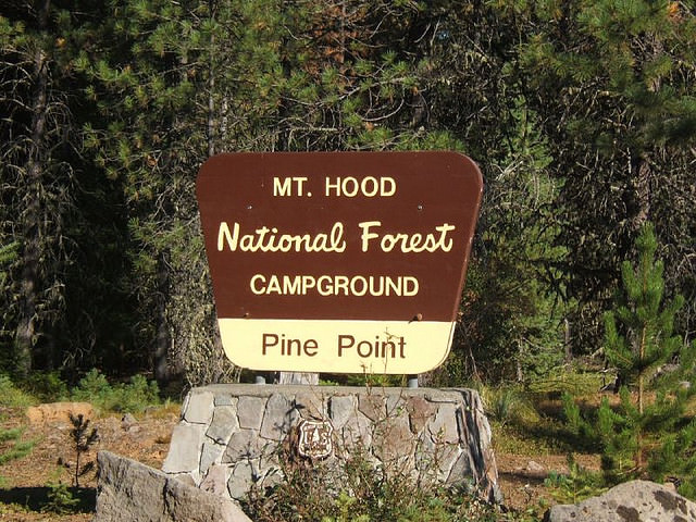 Pine Point Campground