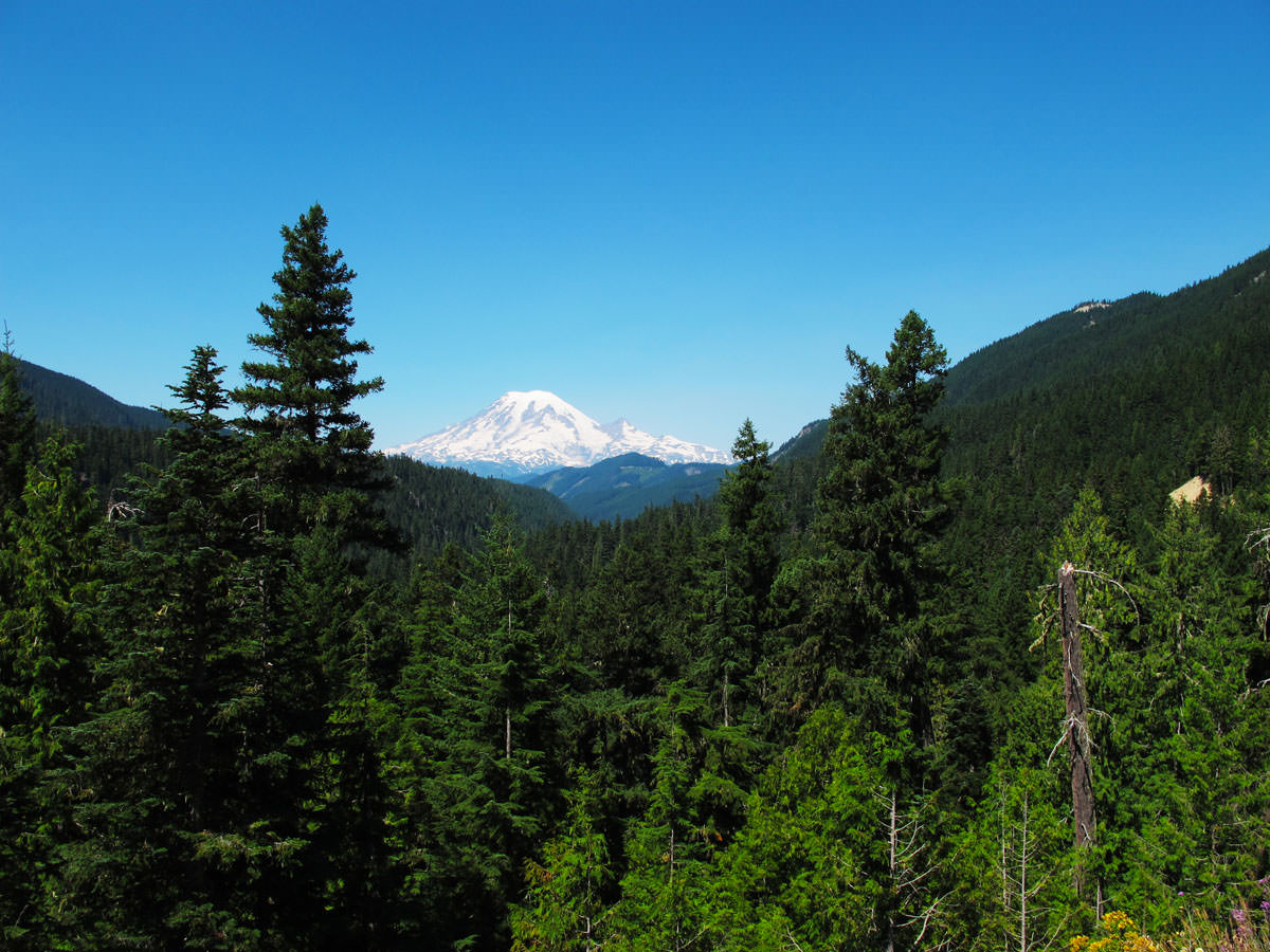 Looking at Mt. Rainier from Highway 12