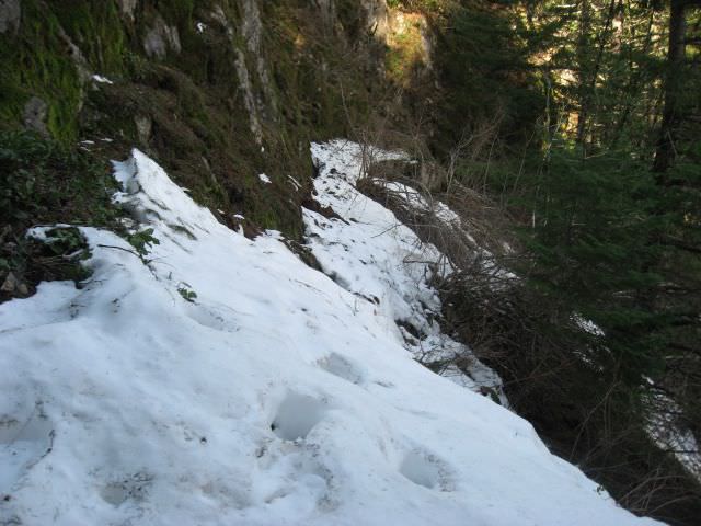 elk-mountain-hike (32)