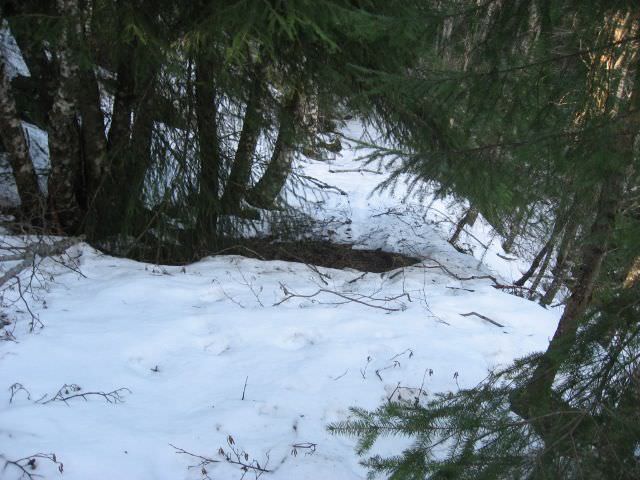 elk-mountain-hike (37)