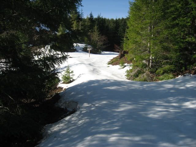 elk-mountain-hike (42)
