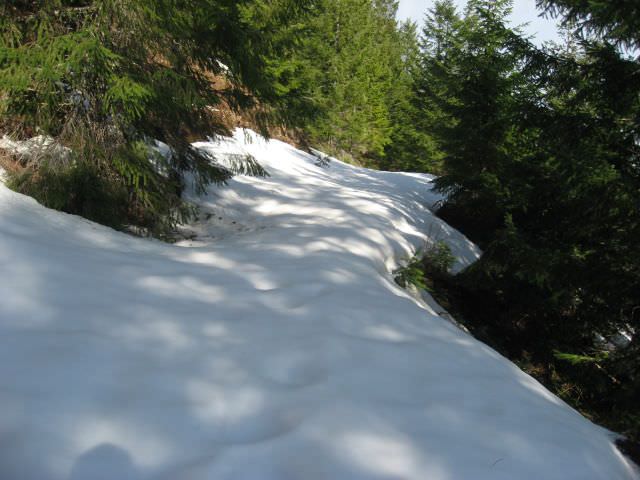 elk-mountain-hike (46)