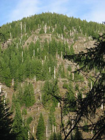 elk-mountain-hike (53)