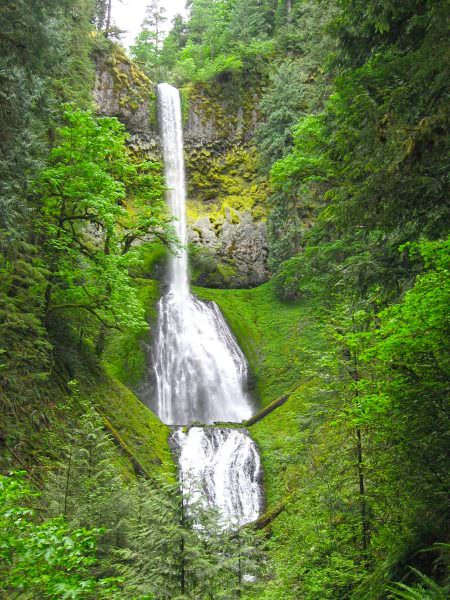 Pup Creek Falls near the Clackamas River in Oregon