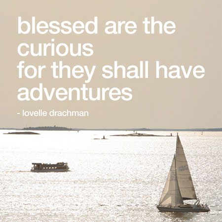 Blessed are the curious for they shall have adventures