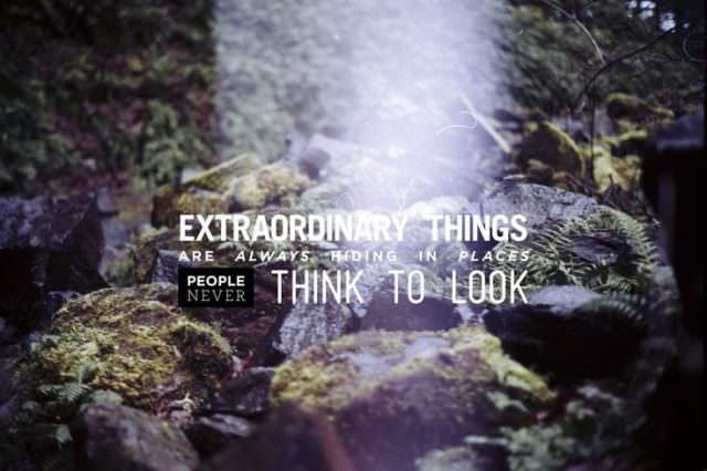 Extraordinary things are always hiding in places people never think to look