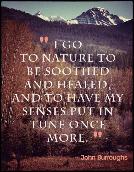 I go to nature to be soothed and healed and to ahve my senses put in tune once more.