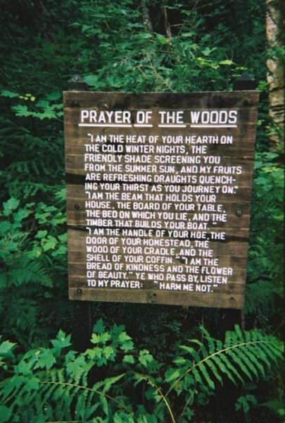 Prayer of the woods