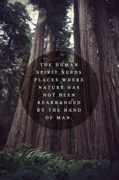 The human spirit needs places where nature has not been rearranged by the hand of man. 
