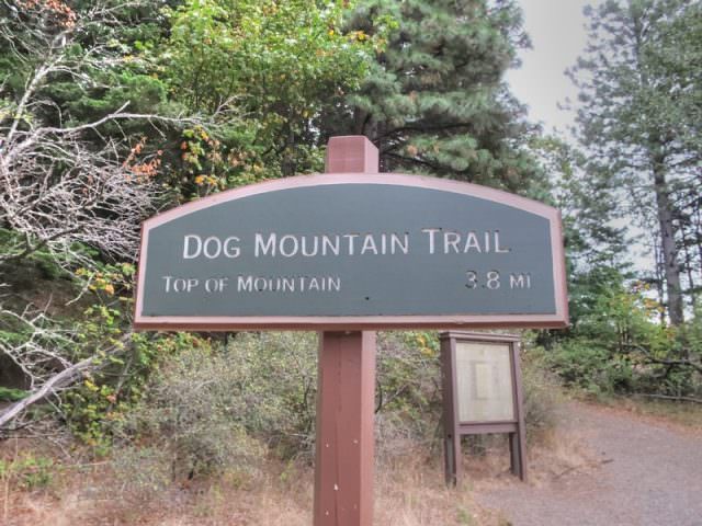 dog-mountain-sign