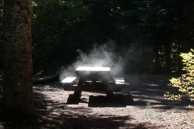 a picnic table in the woods