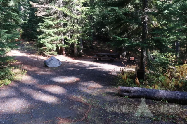 a picnic area in the woods