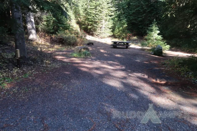 a picnic table in a forest