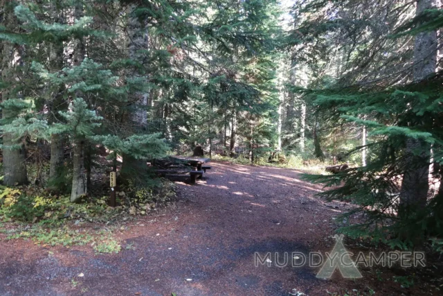 a picnic table in a forest