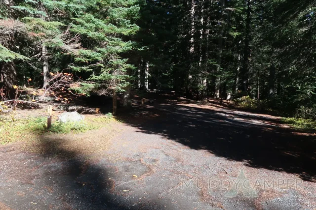 a road with trees in the background