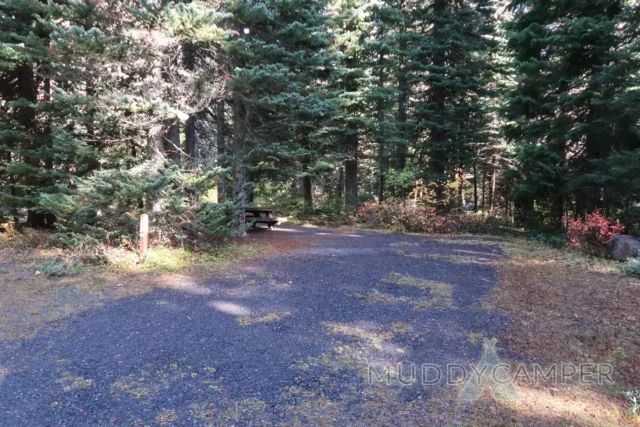 a picnic table in a forest