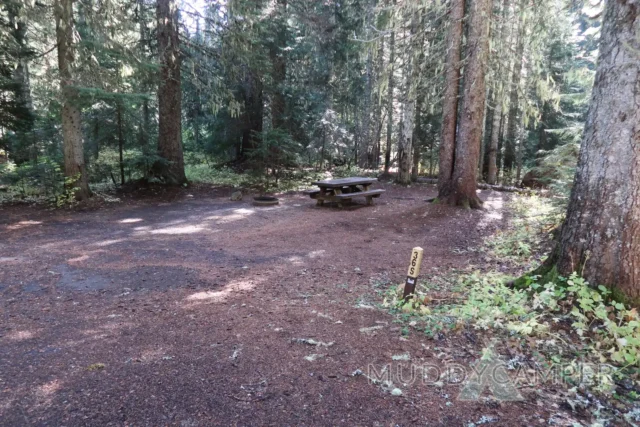 a picnic table in a forest