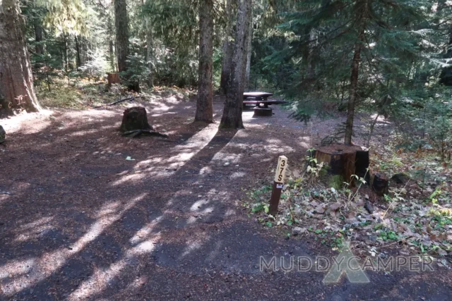 a picnic table in the woods