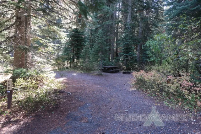 a picnic table in a forest