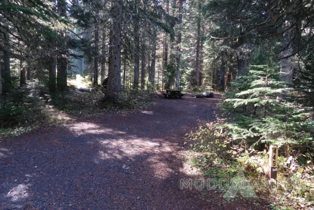 a picnic table in a forest