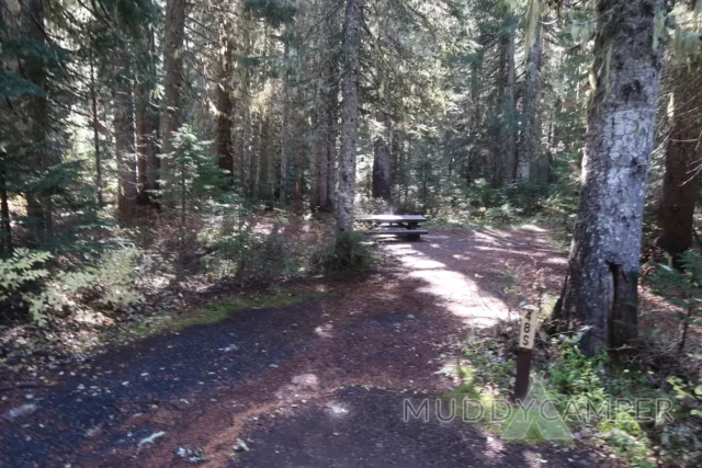 a picnic table in a forest