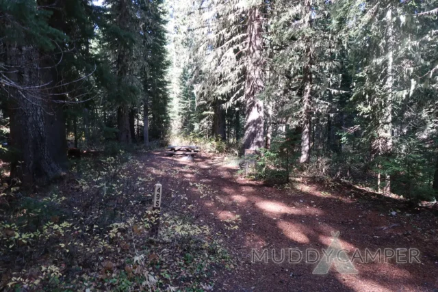 a trail in the woods