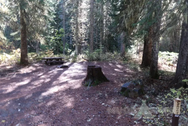 a picnic table in a forest