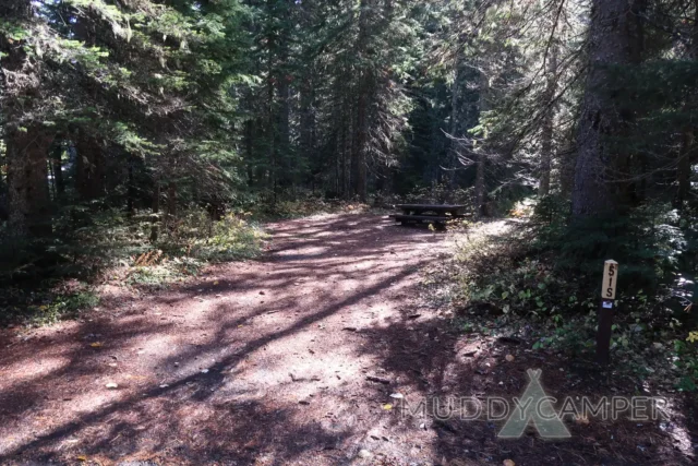 a picnic table in a forest