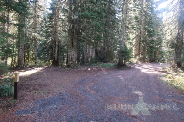 a gravel road with trees in the background