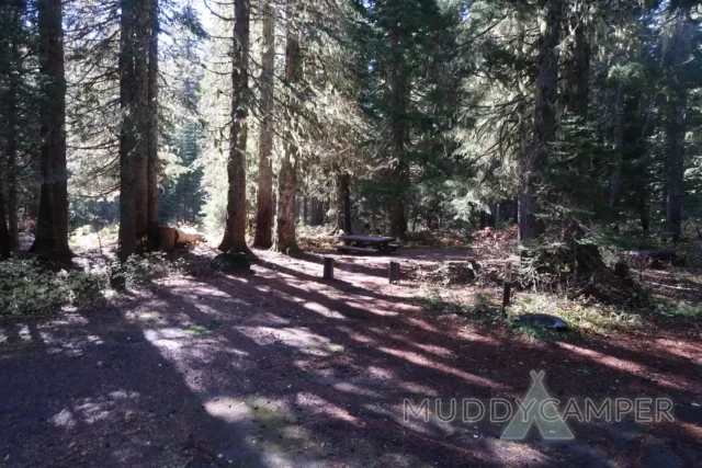 a picnic table in a forest