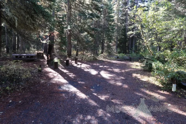 a dirt path with trees and a bench in the middle