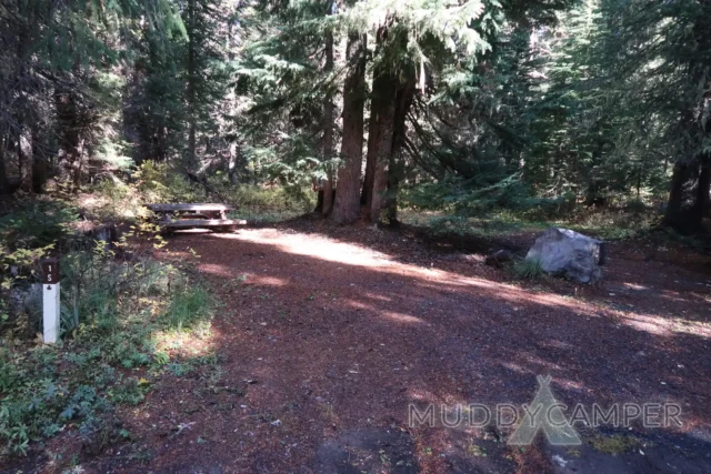 a picnic table in a forest