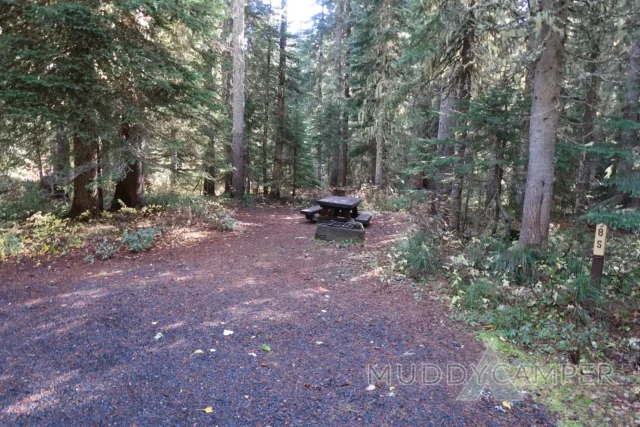 a picnic table in a forest