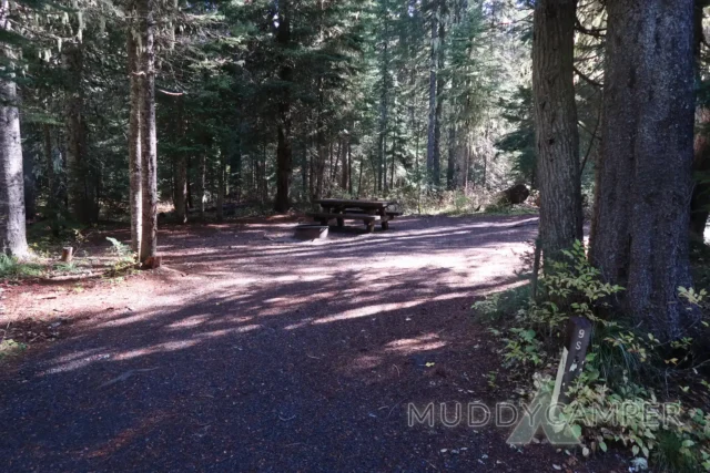 a picnic table in a forest