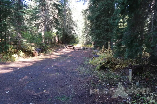 a trail with picnic tables and trees