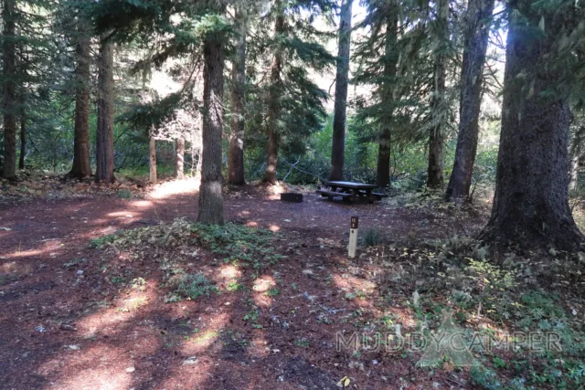 a picnic table in the woods