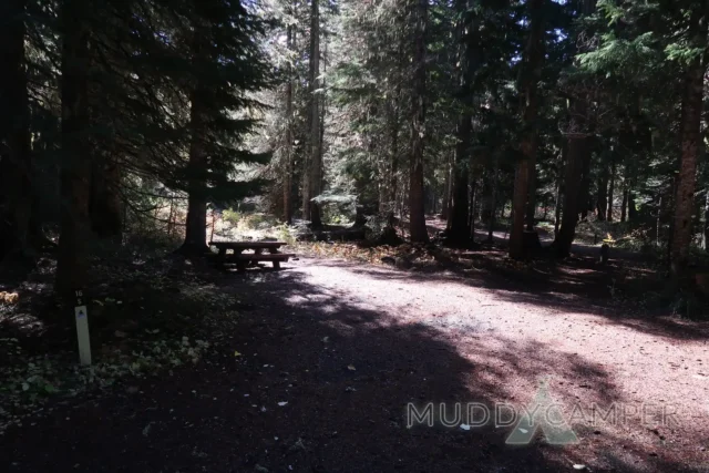 a picnic table in a forest