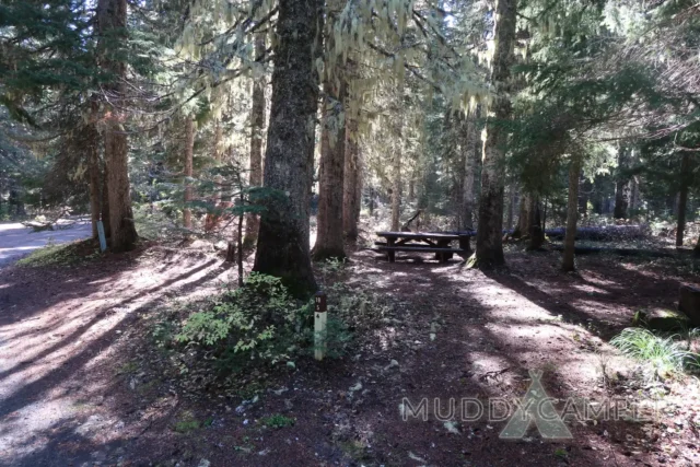 a picnic table in a forest