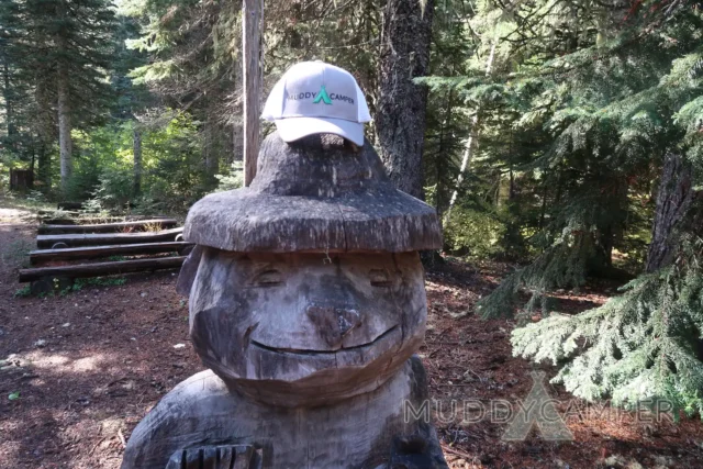 a wooden bear statue with a hat on top of it