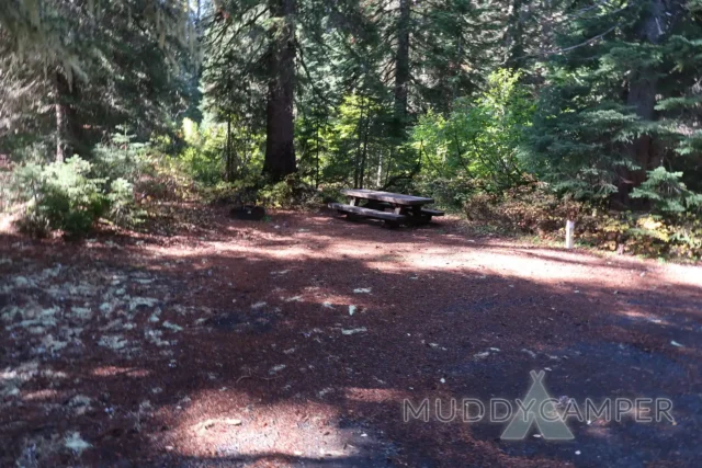 a picnic table in a forest