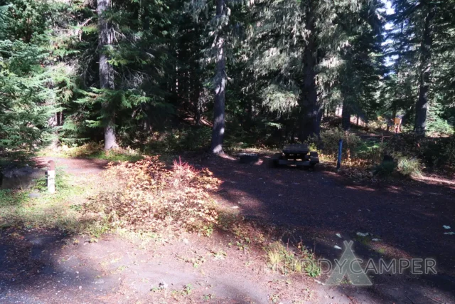 a picnic table in a forest