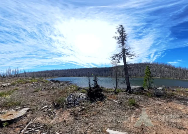 a lake with trees and a blue sky