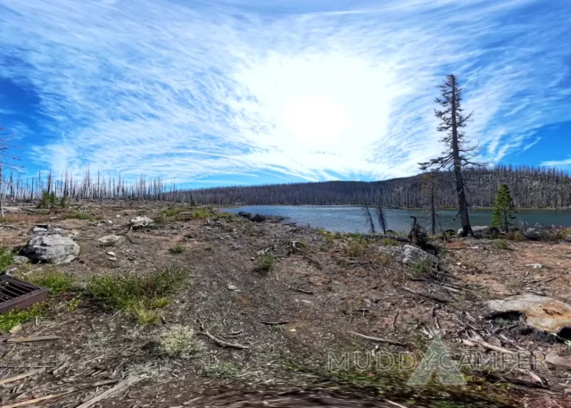 a view of a forest and a lake from a fish eye view