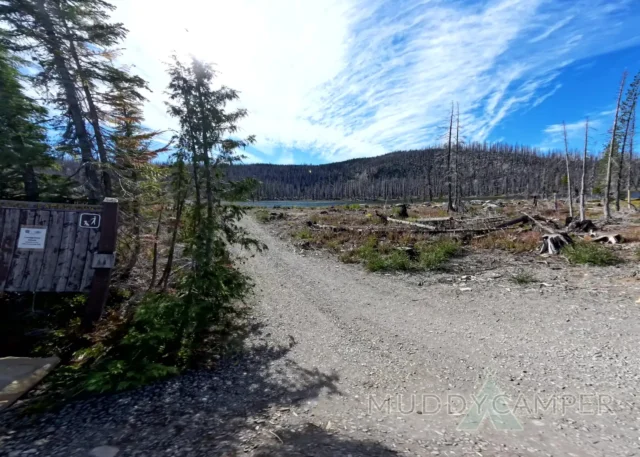 a dirt road with trees and mountains in the background