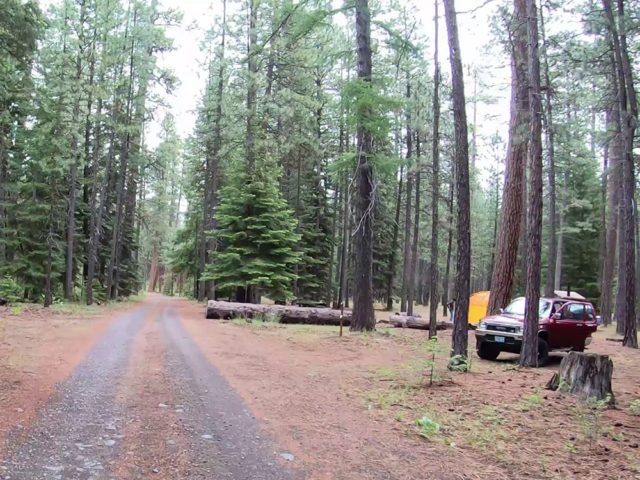 Road through jack creek campground and a campsite