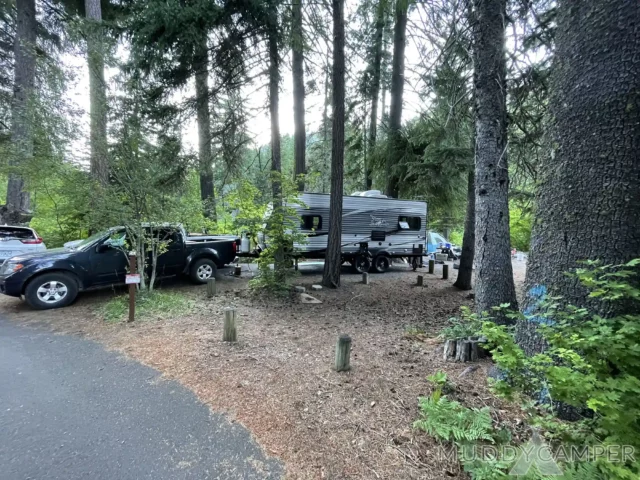 Link Creek Campground Site #21