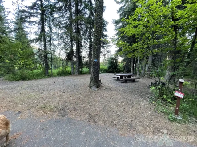 Link Creek Campground Site #20