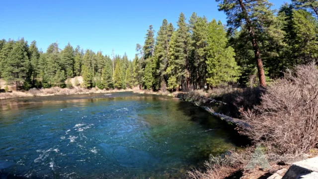 Lower Bridge Campground with river, green trees and a shoreline.