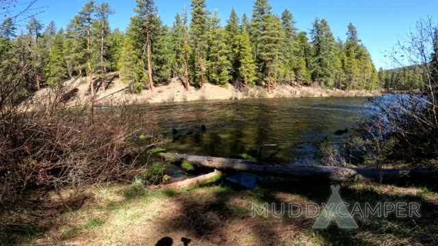 Pioneer Ford Campground view of Metolius River